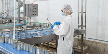 Food Factory Worker Inspecting Quality of Processing Conveyor Belts.